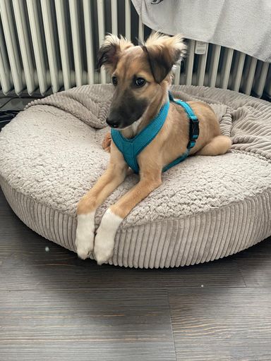Casper 04/25